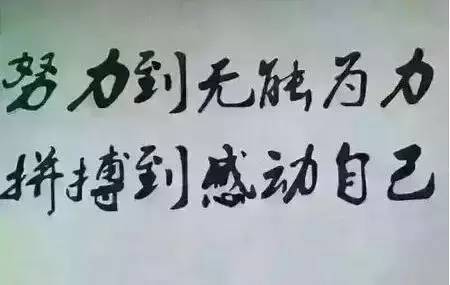 球队上下打成一片，共同为荣誉拼搏