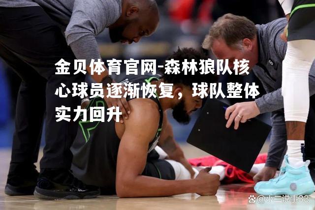 森林狼队核心球员逐渐恢复，球队整体实力回升