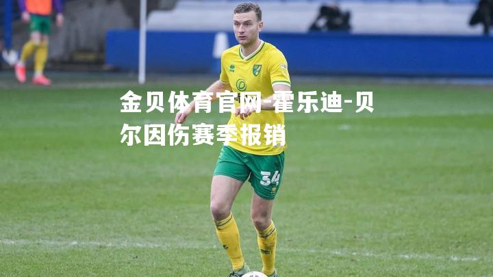 霍乐迪-贝尔因伤赛季报销