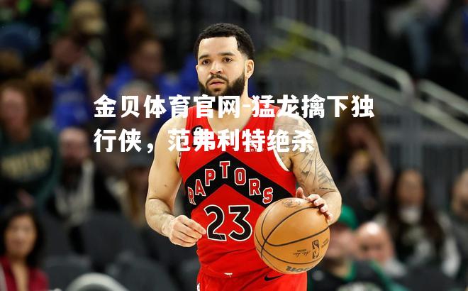 猛龙擒下独行侠，范弗利特绝杀