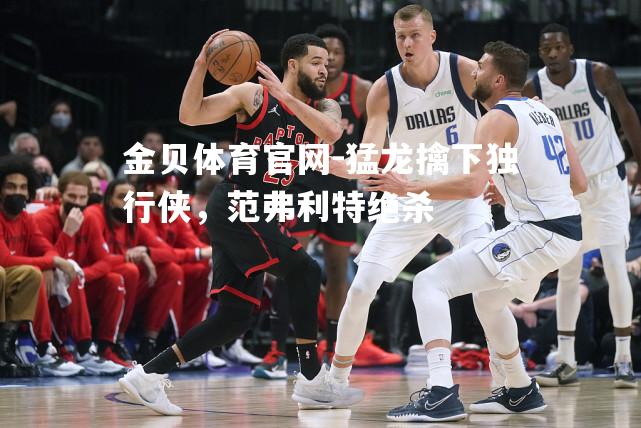 猛龙擒下独行侠，范弗利特绝杀